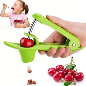 Cherry or Olive Pitter